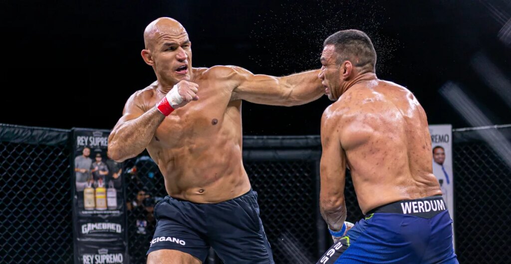 Junior dos Santos vs. Fabricio Werdum grappling match announced for August in Brazil Junior dos Santos vs. Fabricio Werdum grappling match announced for August in Brazil