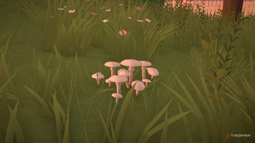 All Mushroom Types In Paralives All Mushroom Types In Paralives