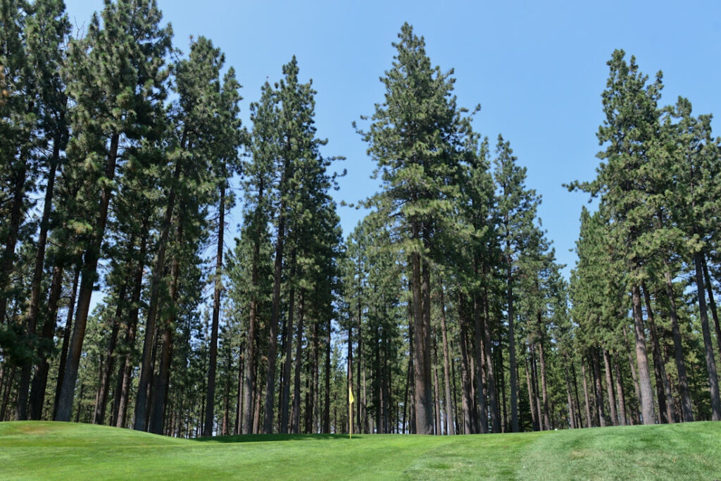 Do you ‘need’ a ‘fairway finder,’ other than driver, while playing tight courses? – GolfWRXers discuss – GolfWRX Do you ‘need’ a ‘fairway finder,’ other than driver, while playing tight courses? – GolfWRXers discuss – GolfWRX