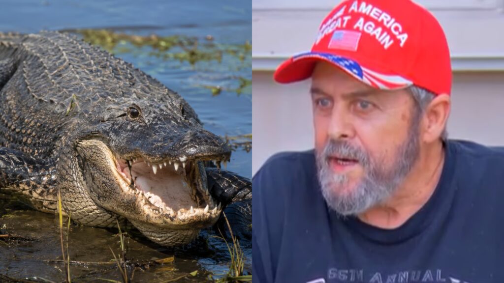 gator and florida man after being attacked