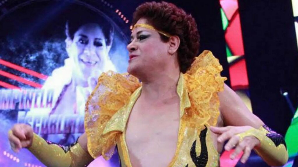 Deepest Condolences to WWE and AAA Star Pimpinela Escarlata’s Family Image via X/@luchalibreaaa
