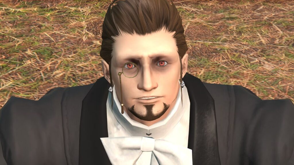 FF14 Will Take Up Half Of Your Nintendo Switch 2's Storage