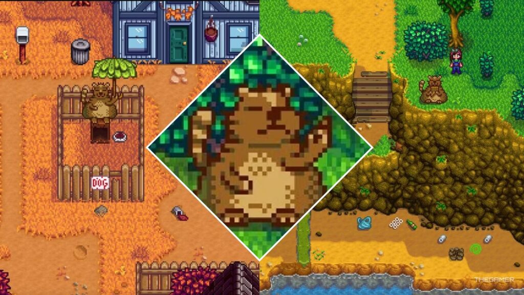 How To Complete Trash Bear’s Quests Tasks In Stardew Valley How To Complete Trash Bear's Quests Tasks In Stardew Valley