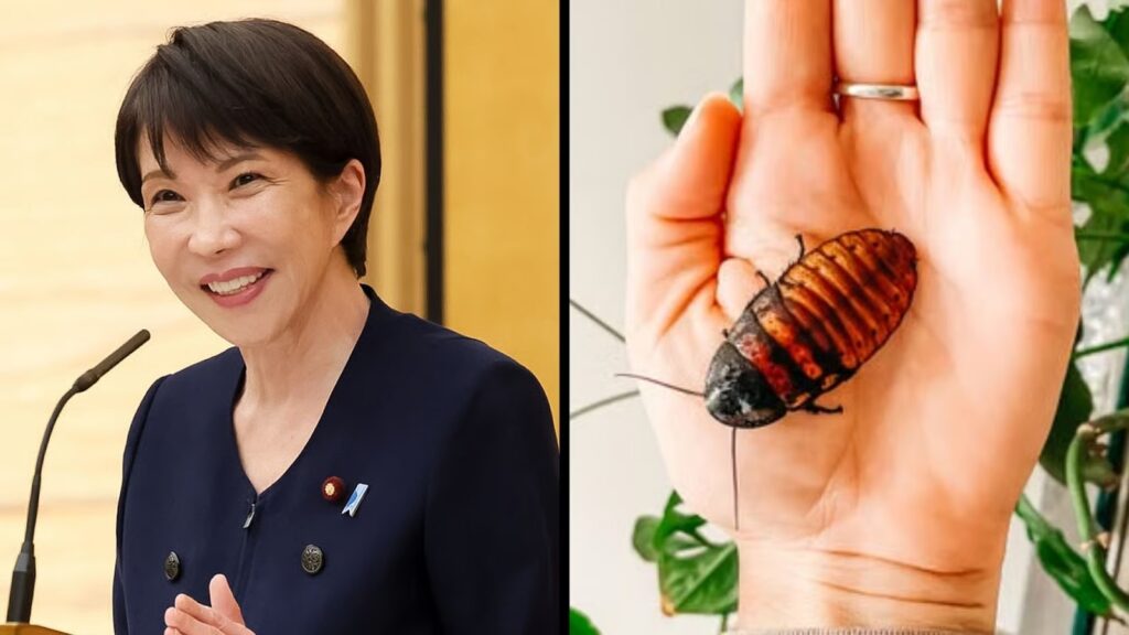 Japanese Prime Minister felt ‘lonely’ after staff got rid of cockroach from her home Japanese Prime Minister felt ‘lonely’ after staff got rid of cockroach from her home