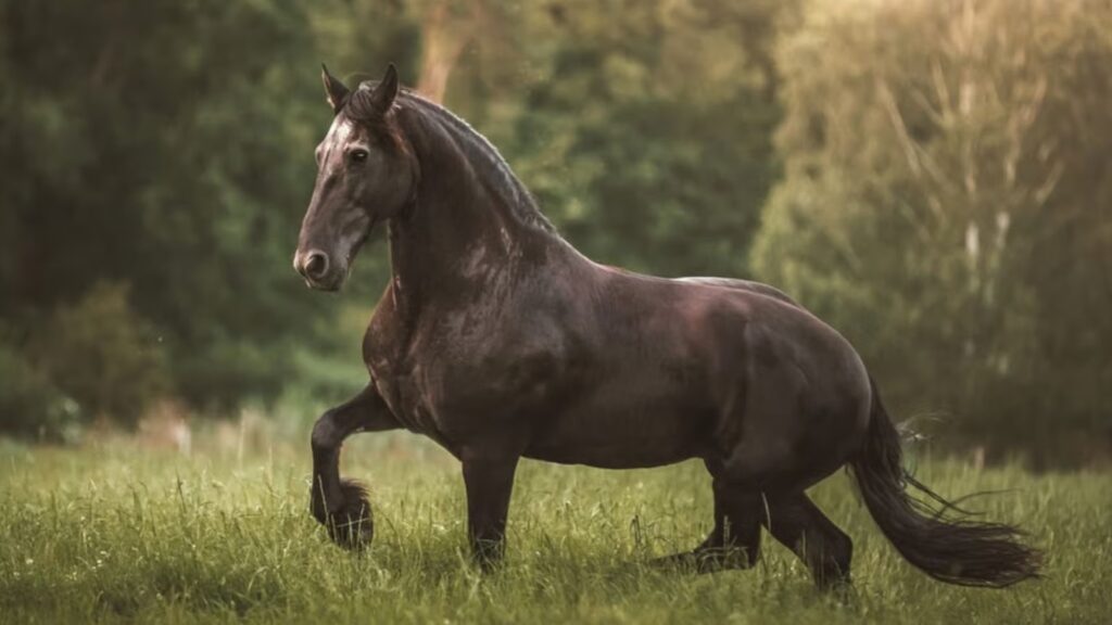 World’s tallest living horse is a record-breaking 6ft 6in and he’s still growing Gamesir controllers