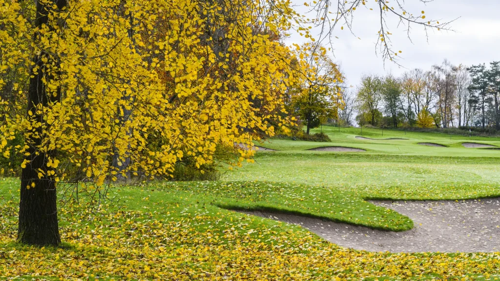 Embrace your own ‘silly season’ of golf | Lifestyle Embrace your own ‘silly season’ of golf | Lifestyle